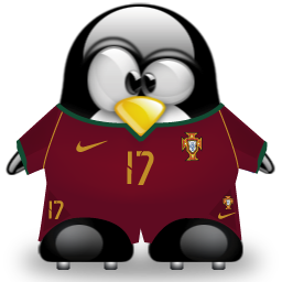 penguin pingouin pinguino 213